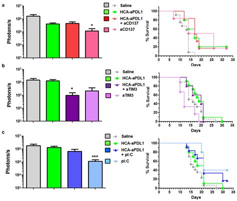 Ijms Free Full Text Adenovirus Mediated Inducible Expression Of A