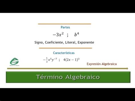 Término Algebraico Partes y Características YouTube