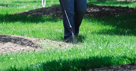 Preventing Summer Weeds Pre Emergent Weed Control Ssc Services For Education