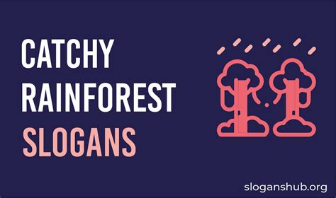 17 Catchy Save The Rainforest Slogans With Pictures