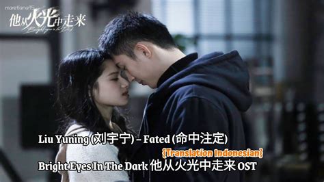 Liu Yuning 刘宇宁 Fated 命中注定 Bright Eyes In The Dark《他从火光中走来》ost