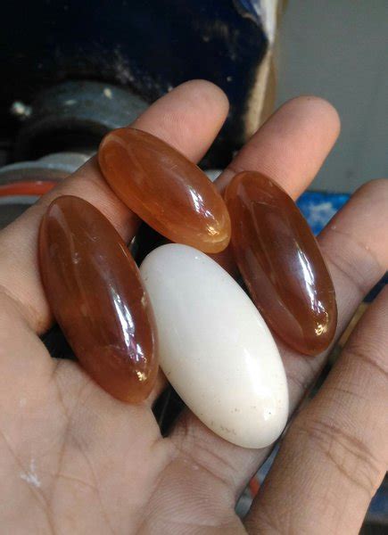 Jual Natural Fosil Mani Gajah Madu Putih Ready Tasbih Galeh Kelor