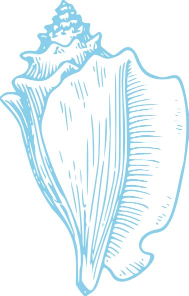 Sky Blue Conch Shell Clip Art at Clker.com - vector clip art online ...