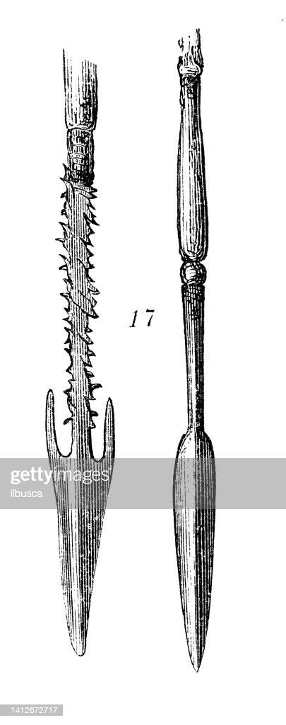 Antique Illustration Ethnography And Indigenous Cultures Africa Assegai Spear High Res Vector