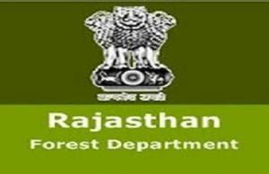 Rsmssb Rajasthan Forest Guard Forester Online Form Recruitment