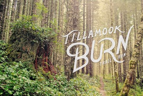 Tillamook Burn Trail Run — Daybreak Racing