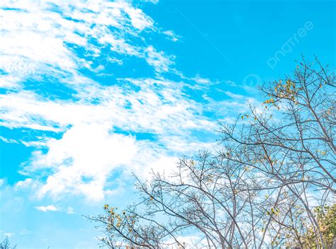 Langit Biru Dan Awan Putih Peta Fotografi Cuaca Cerah Segar Dengan