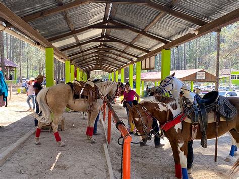 Explorando las Grutas de Rancho Nuevo en San Cristóbal Planes en San