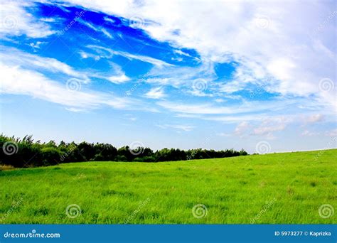 Campo De La Hierba Verde Y Del Cielo Azul Del Sol Imagen De Archivo