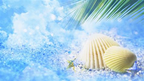 Cool Summer Backgrounds Wallpaper Cave