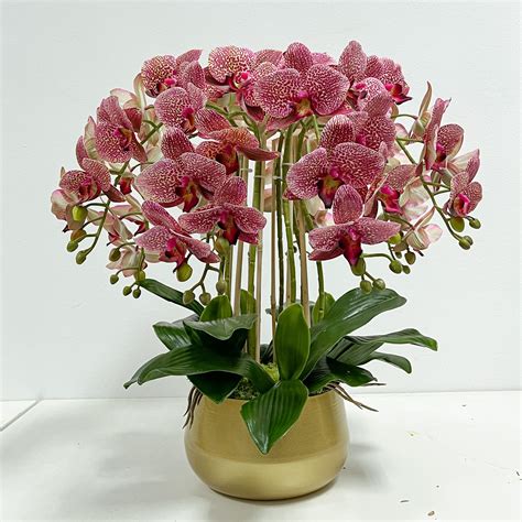orchid flower arrangement 4