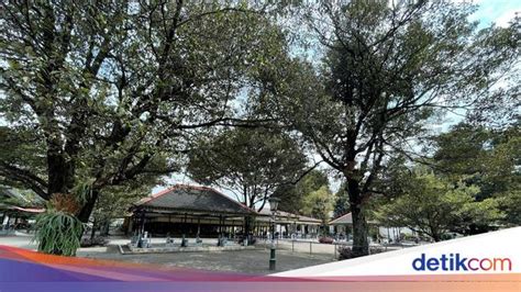 Mengenal Filosofi Pohon Di Keraton Jogja Dari Sawo Kecik Beringin