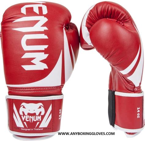 BEST BOXING GLOVES BRANDS 2023 | [Apr Update]