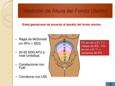 Medición de Altura del Fondo Uterino Edad gestacional de acuerdo al