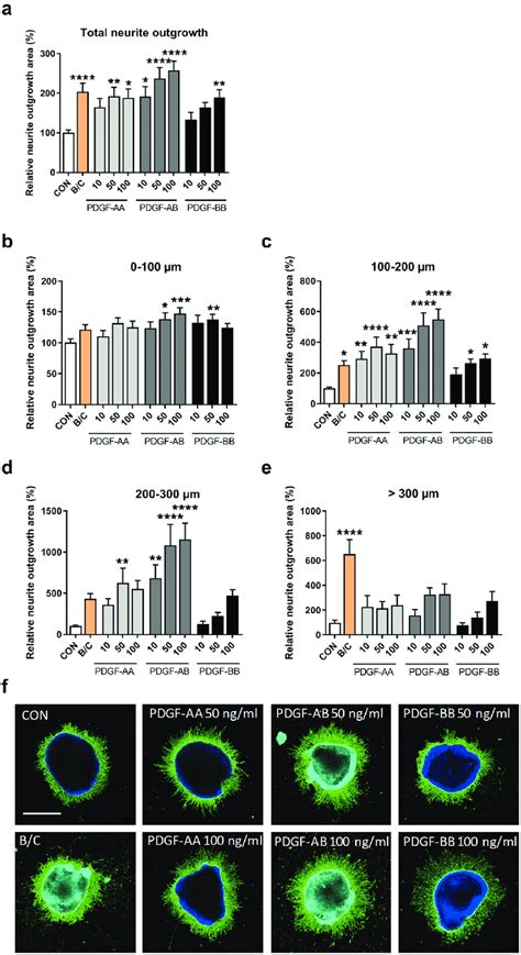 Neurite Outgrowth In Retinal Explants Incubated With Three Different