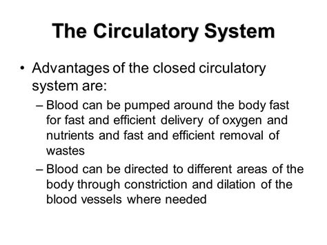 Closed circulatory system advantages