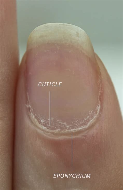 The Ultimate Guide To Cuticle Care Dry Manicures Karanailedit