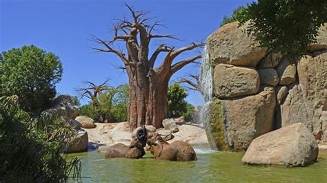 Bioparc Valencia celebra el Día Mundial del Medio Ambiente este sábado