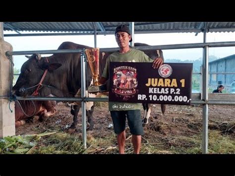 Condrosimo Juara Setia Farm Kontes Sapi Appsi Karawang