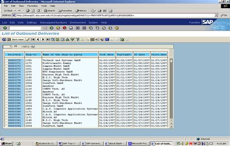 Sap Sample Screens