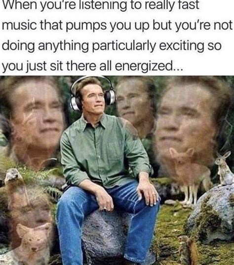 Arnold Schwarzenegger Meme