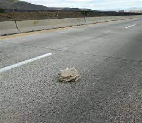 Sin Freno Asaltos En Carreteras De Hidalgo News Hidalgo