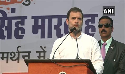 Delhi Violence Congress Delegation Led By Rahul Gandhi To Visit Riot Hit Areas To Assess Situation