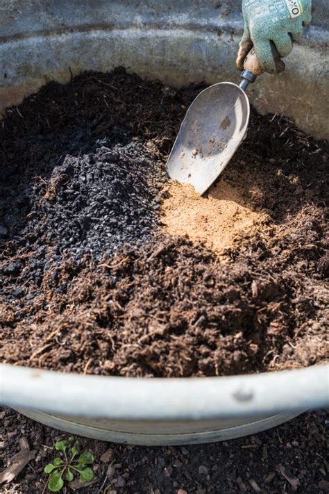 Alte Erde Wieder Fruchtbar Machen Der Kleine Horrorgarten