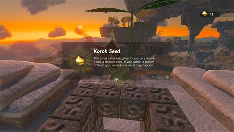 Tears Of The Kingdom Great Sky Island Korok Seed 11 Location