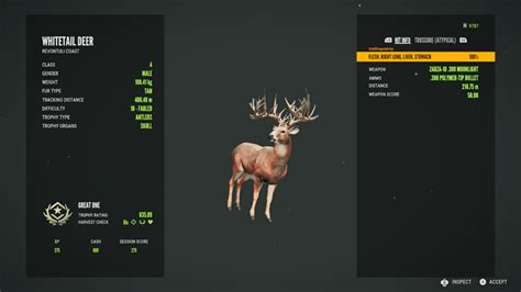 Great One Whitetail! : r/theHunter