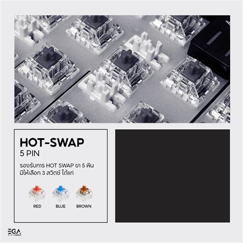 Ega Bt Wireless Hot Swap Pin Type