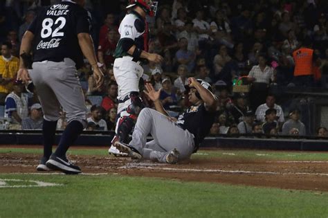 Tigres de Quintana Roo El Equipo que nacio campeón tigres se apunto