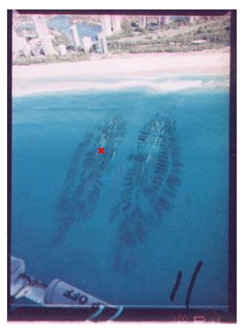 41 Location Of The Instrumented Geotextile Sand Container On The