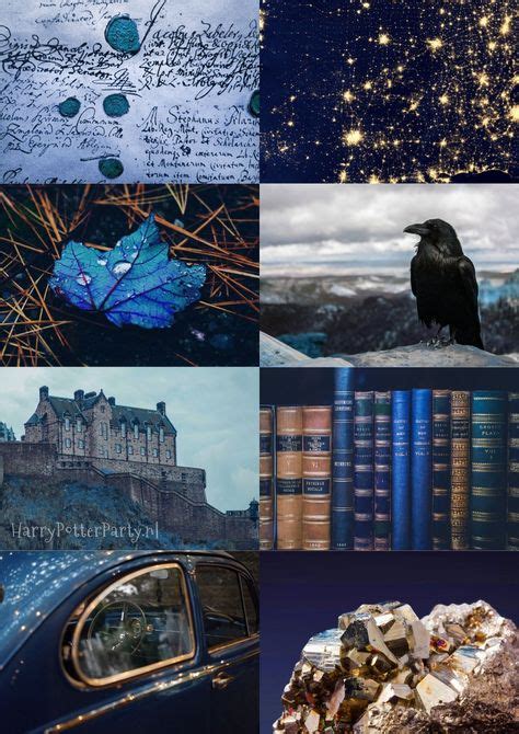 39 Best Bronze And Blue Ravenclaw Love Images Ravenclaw Hogwarts