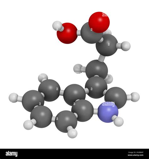 Indole Propionic Hi Res Stock Photography And Images Alamy