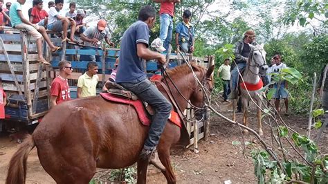 Pega De Boi No Mato Em Malhada Grande Picos Youtube