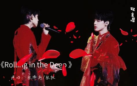 【tf家族登陆计划】蝴蝶效应演唱会《rolling In The Deep》张泽禹张极双人舞台—官拍版 你是一志鑫 三代 哔哩哔哩视频