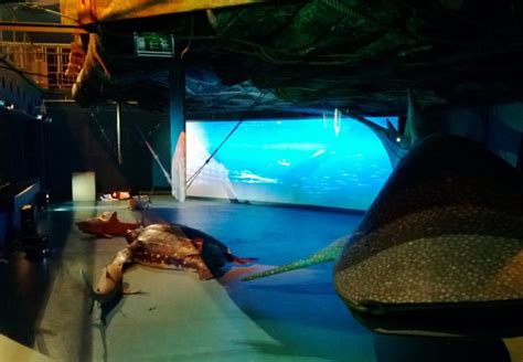 Channel Curved Screen In Kon Tiki Museum Warpalizer Norway