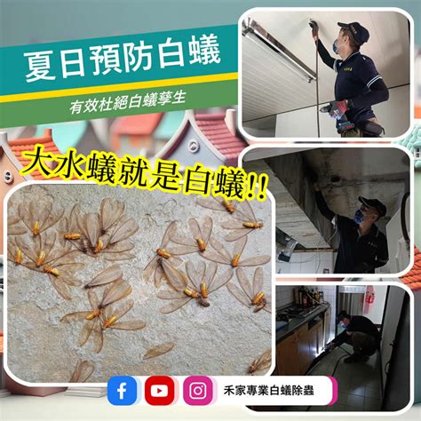 高雄市左營專業防蟲工程推薦 禾家專業除蟲企業行 高雄台南屏東專治白蟻蟑螂老鼠蚊蠅跳蚤蛀蟲環境消毒殺菌