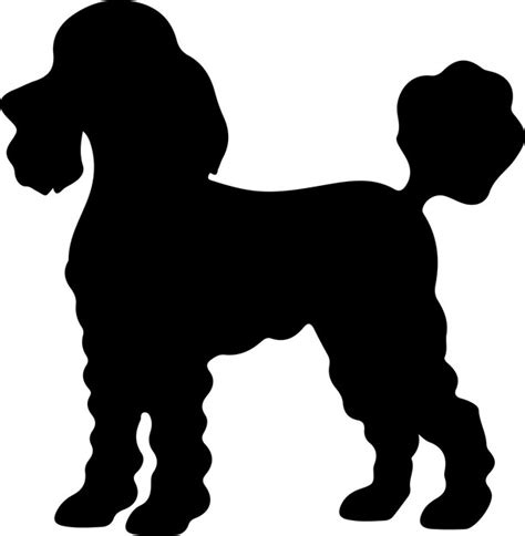 Silueta Negra De Caniche Con Fondo Transparente Vector Premium