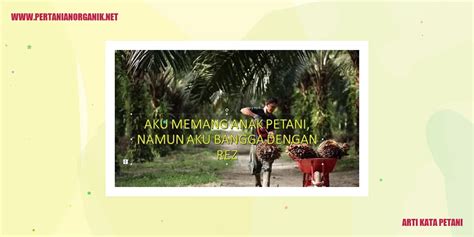 Arti Kata Petani Semangat Dan Dedikasi Dalam Mengolah Tanah