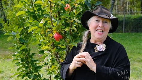 Raintree Nursery Fruit Feature Tasty Red Urban Apple Youtube