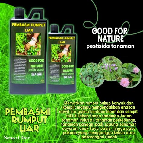 Jual Pembasmi Rumput Liar Gulma Ilalang 1Liter Sampai Ke Akarnya