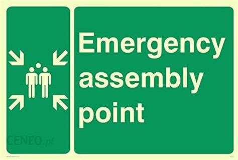 Viking Signs Znaki Wiking W Sy A L Pv Znak Emergency Assembly Point