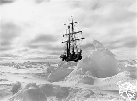 Capturing The Endurance: Photographs Reveal The Treacherous Expeditions ...