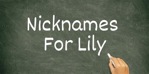 Top Nicknames For Lily Lets Learn Slang