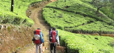 The Pekoe Trail In Sri Lanka Mahaweli Tours And Holidays