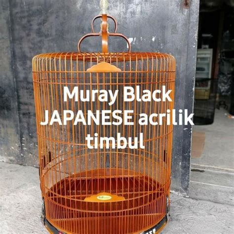 Jual Kandang Burung Sangkar Murai Batu Bnr Black Japanese Akrilik