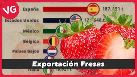 Los Países que Más Fresas Exportan en el Mundo YouTube