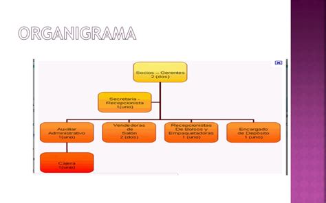 Introducir Imagen Organigrama De Una Tienda De Ropa Y Sus Funciones